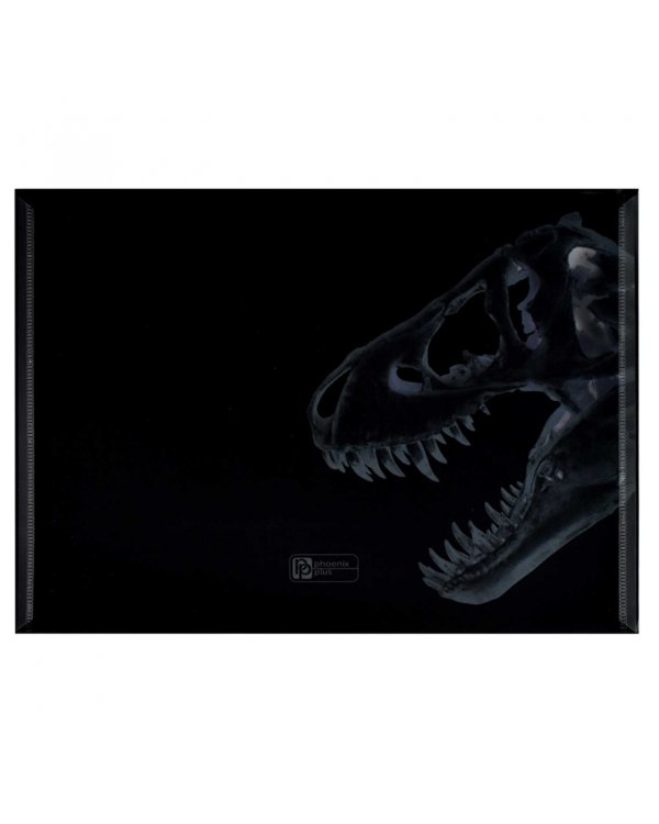 Папка для школьных тетрадей пластиковая Рентген, А4