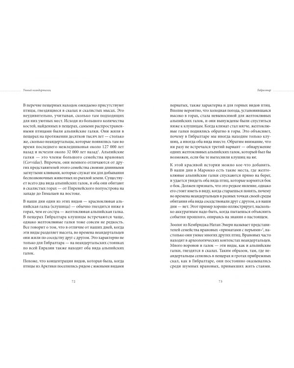 Умный неандерталец. Охота на птиц, пещерное искусство и когнитивная революция