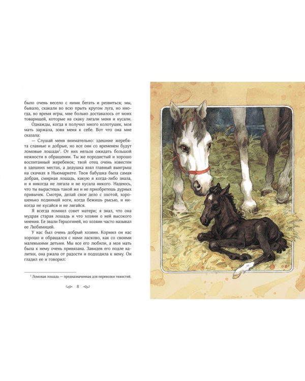 Черный красавец