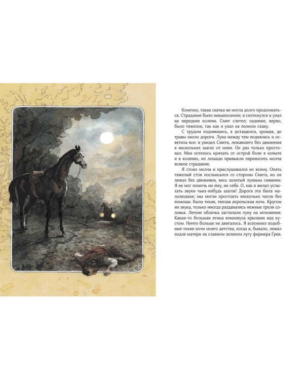 Черный красавец