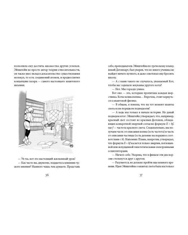 Кот, которого не было. Загадки и чудеса квантовой физики