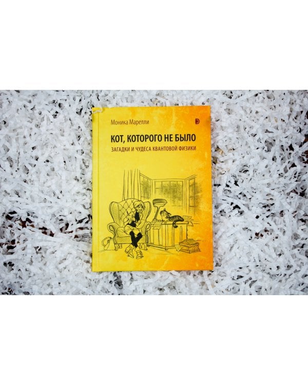 Кот, которого не было. Загадки и чудеса квантовой физики