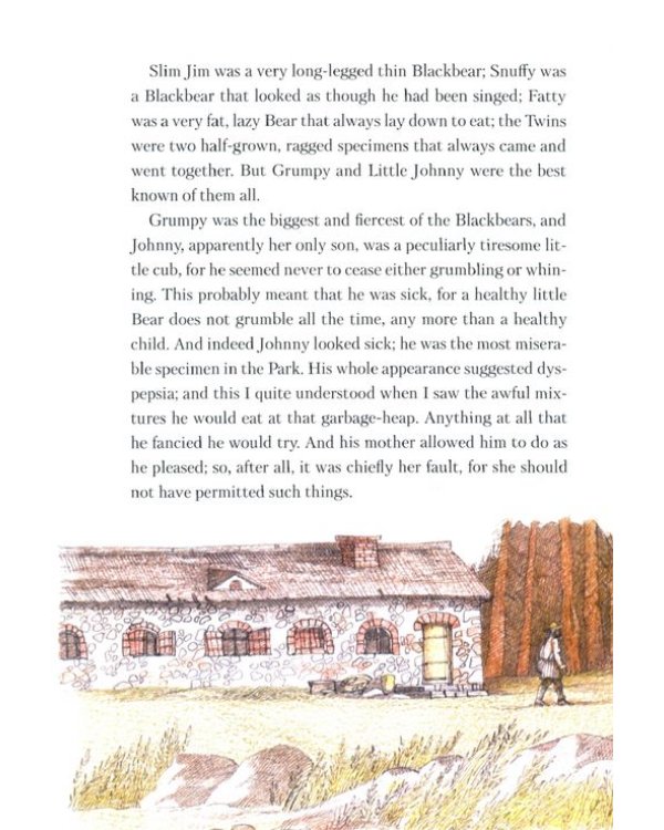 Медвежонок Джонни