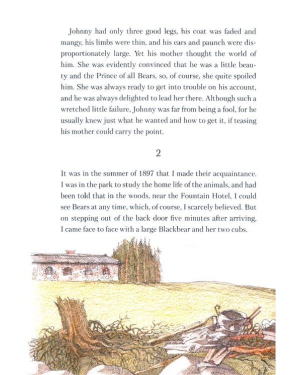 Медвежонок Джонни