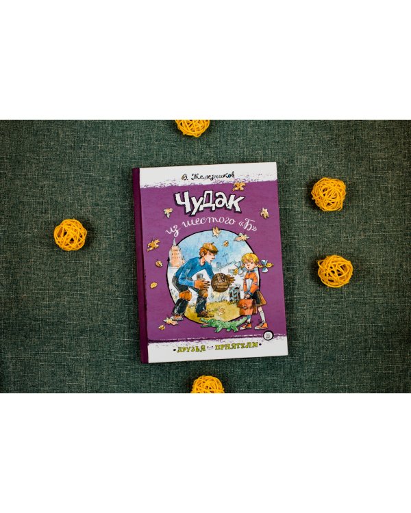 Чудак из шестого "Б"