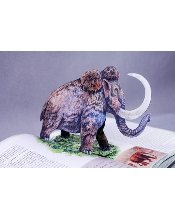 Земля Санникова. В 2-х томах. Том 1