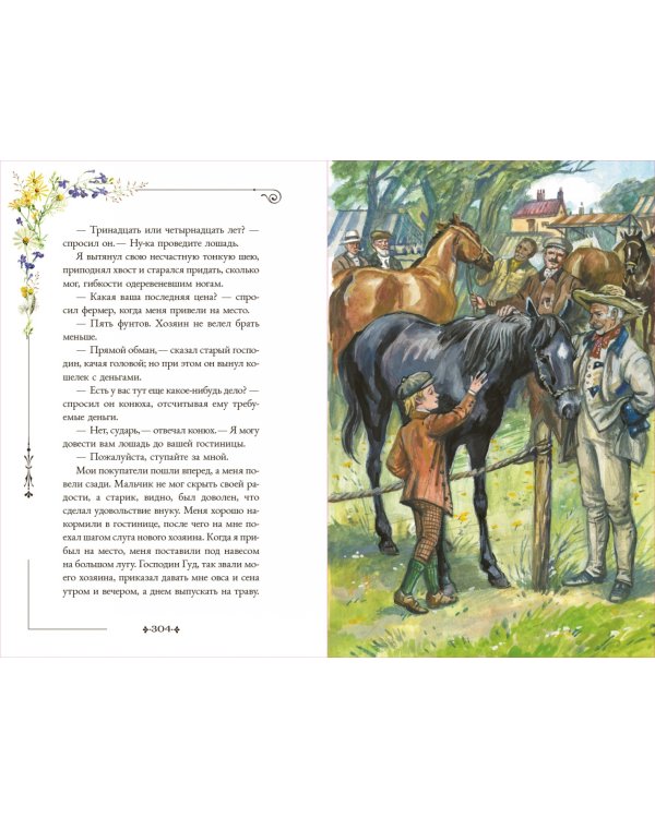 Черный Красавчик