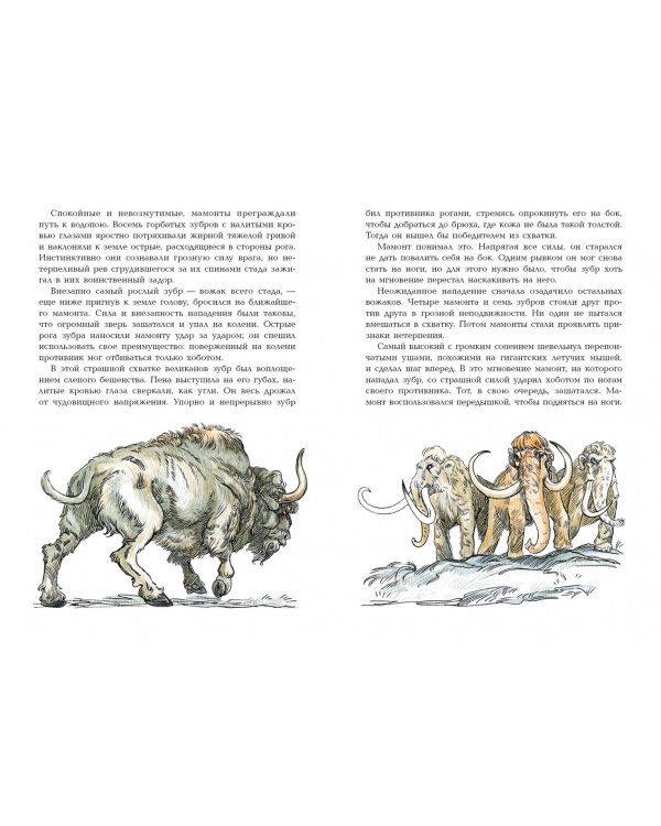 Борьба за Огонь