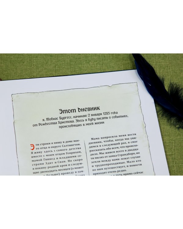 Рыцарский дневник. Записки Тобиаса Бургесса, пажа