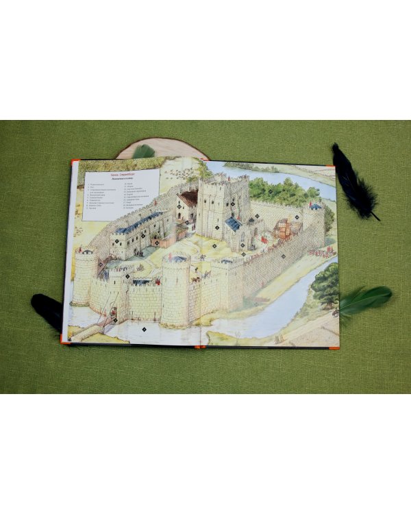 Рыцарский дневник. Записки Тобиаса Бургесса, пажа