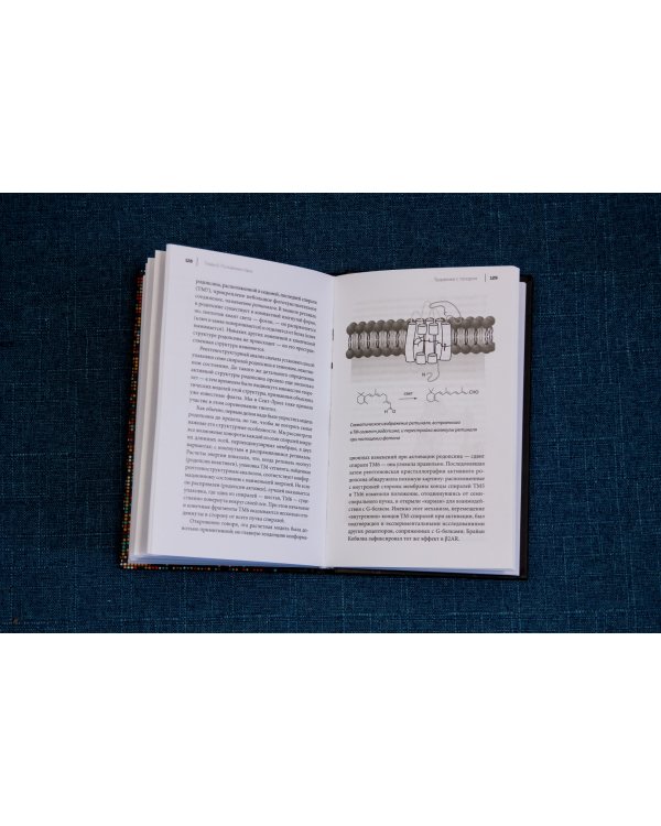 От оргазма до бессмертия. Записки драг-дизайнера