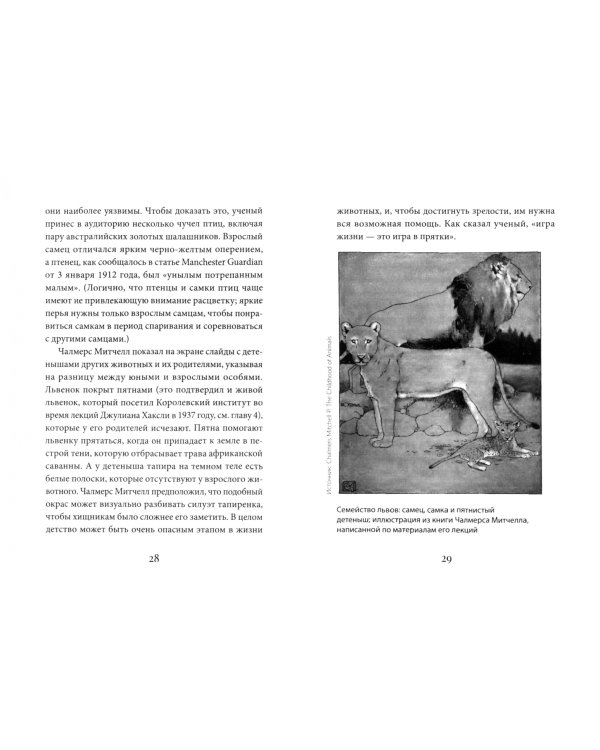 11 исследований о жизни на Земле. Рождественские лекции Королевского института Великобритании