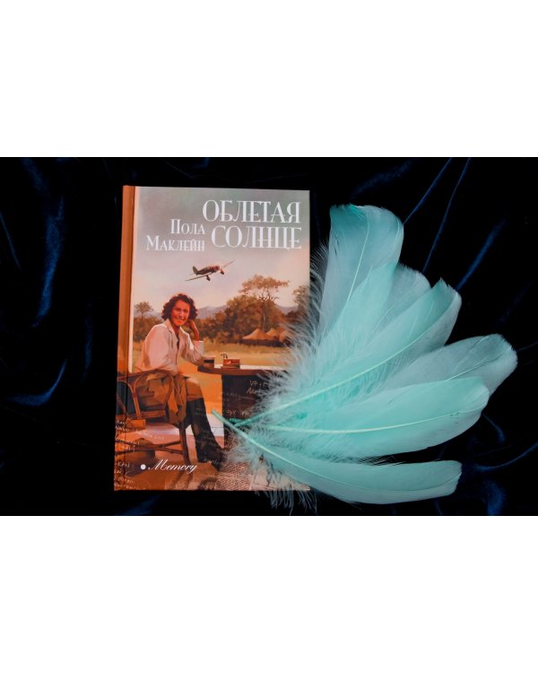 Облетая солнце