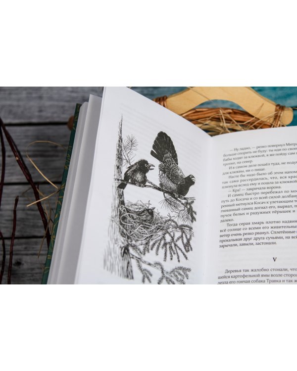 Верные друзья. Рассказы о животных