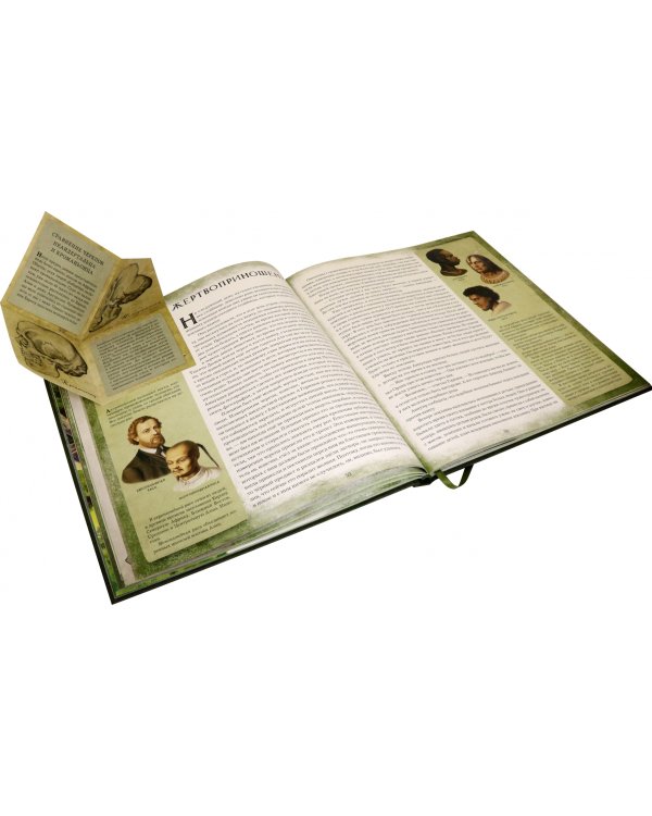 Земля Санникова. В 2-х томах. Том 2