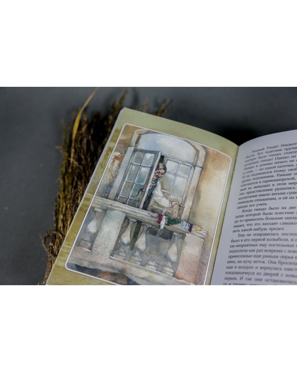 Королевская Аналостанка и другие рассказы