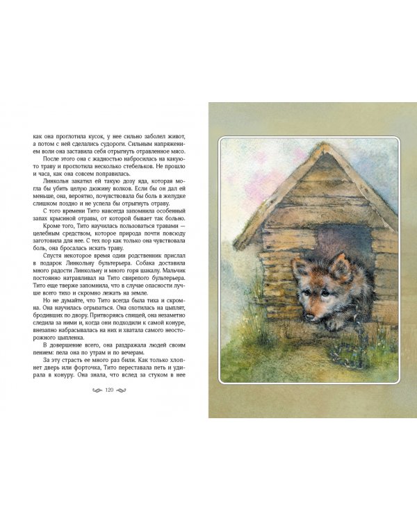 Королевская Аналостанка и другие рассказы