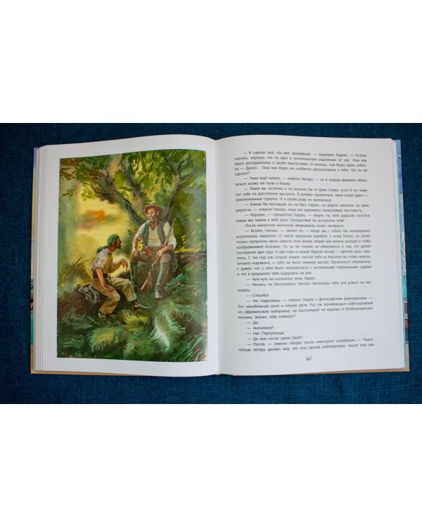 Пятнадцатилетний капитан