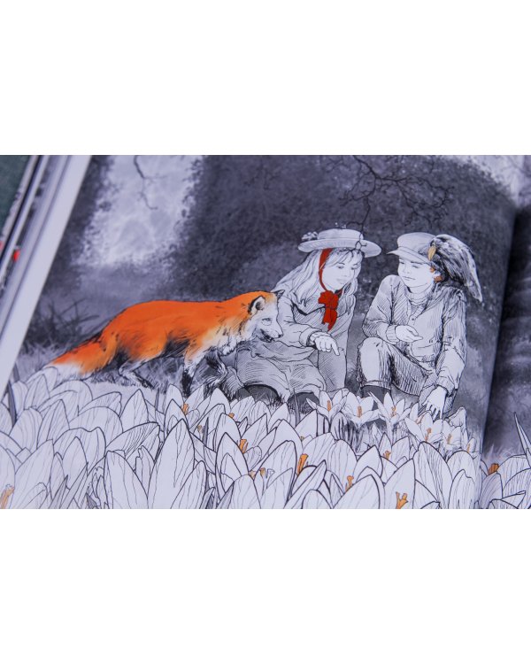 Таинственный сад