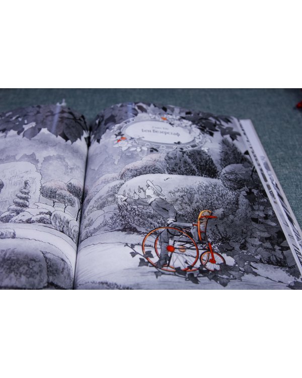 Таинственный сад