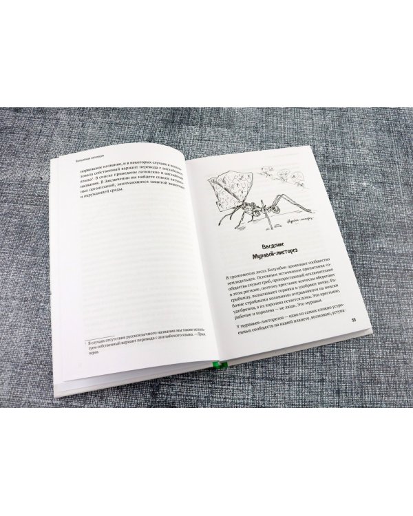 Волшебная эволюция. Зачем рыбы взбираются по водопадам, а пауки танцуют