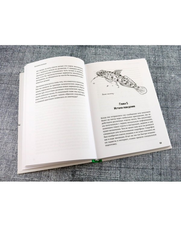 Волшебная эволюция. Зачем рыбы взбираются по водопадам, а пауки танцуют