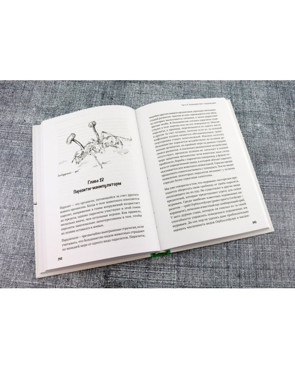 Волшебная эволюция. Зачем рыбы взбираются по водопадам, а пауки танцуют