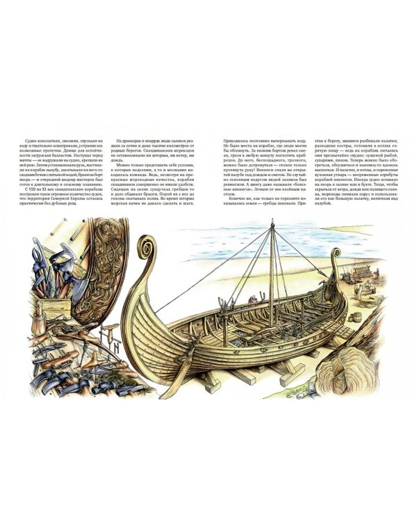 Викинги. Люди заливов