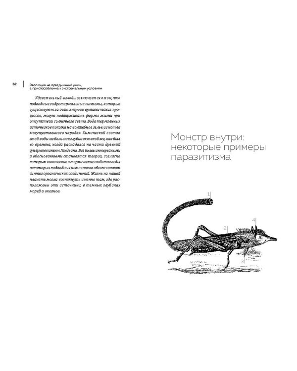 Близорукий часовщик. Очень странные животные