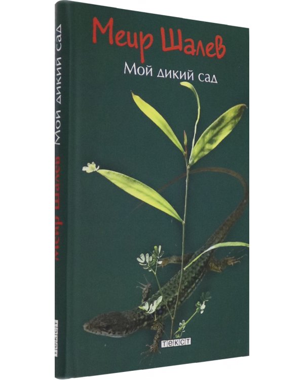 Мой дикий сад