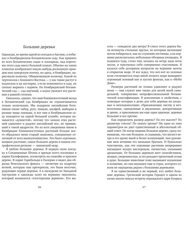 Мой дикий сад