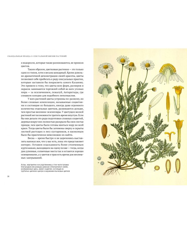 Скандальная правда о сексуальной жизни растений