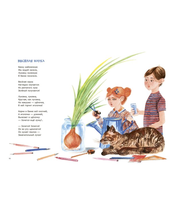 Да здравствует Туфляндия!