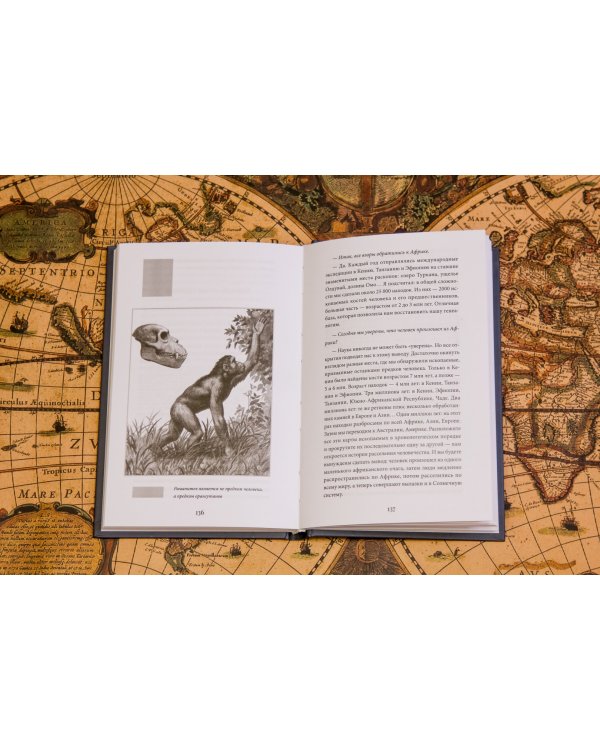 Самая красивая история мира. Тайны нашего происхождения