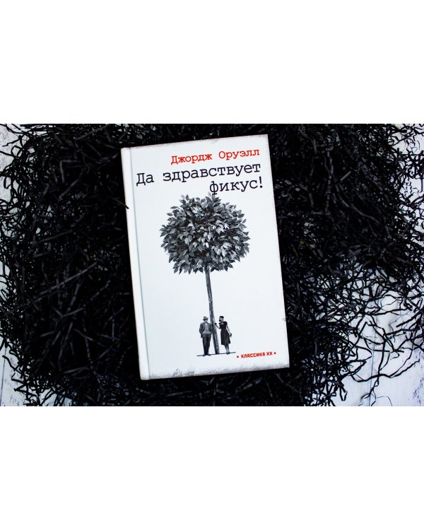 Да здравствует фикус!