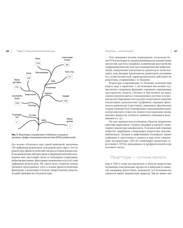 Общение всего живого