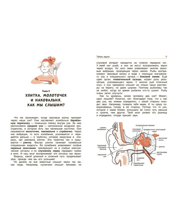 Свет и звук. Физика для детей