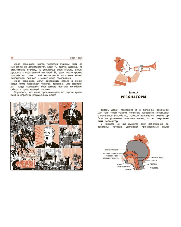 Свет и звук. Физика для детей