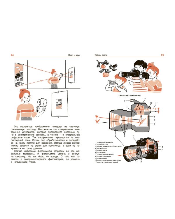 Свет и звук. Физика для детей