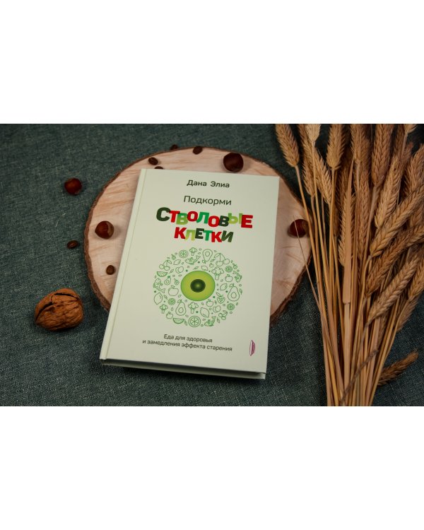 Подкорми стволовые клетки. Еда для здоровья и замедления эффекта старения