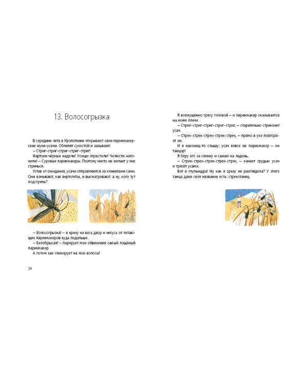 Кедровый слоник