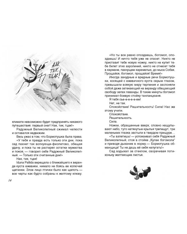 Барбара Эр не умела летать