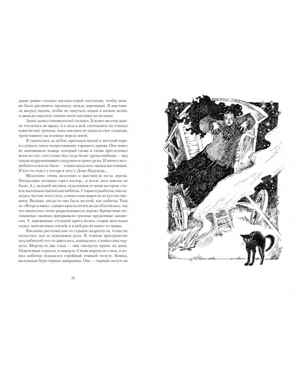 Тайна Соловьиного леса