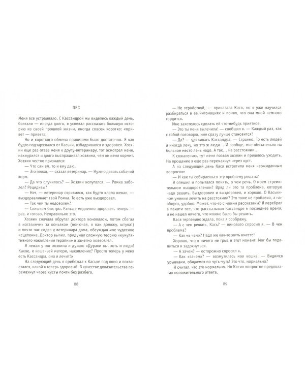 Как кошка с собакой