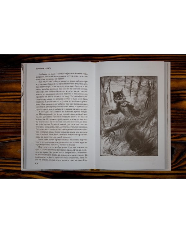 Животные-герои