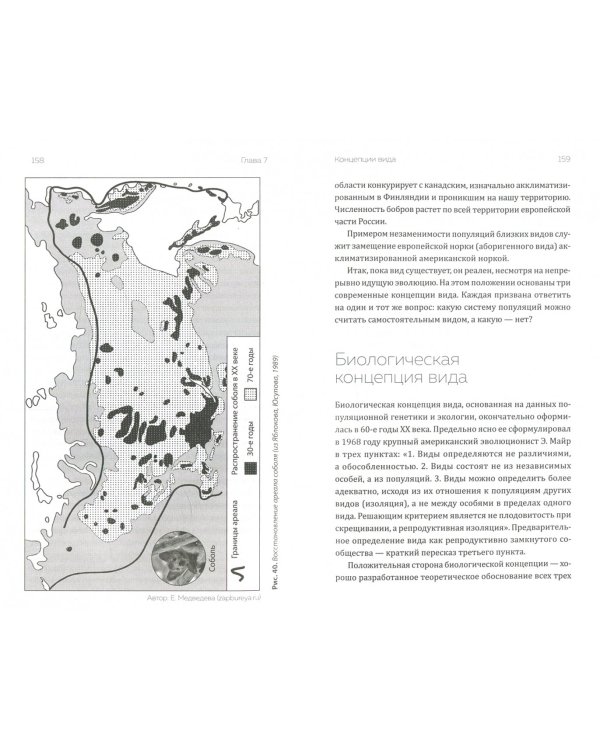 Эволюция. Есть ли вершина?