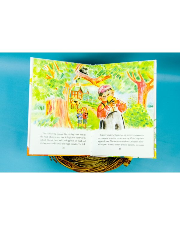 Мандарин и бабочка