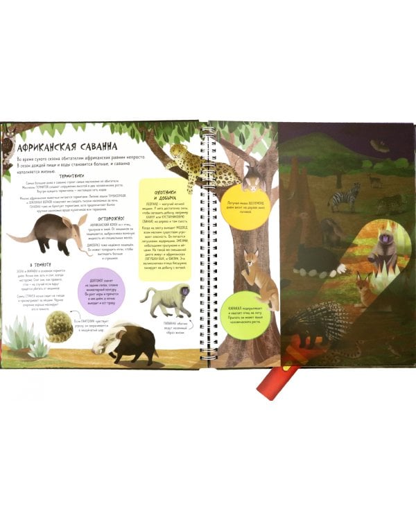 Волшебный фонарик. Ночной мир