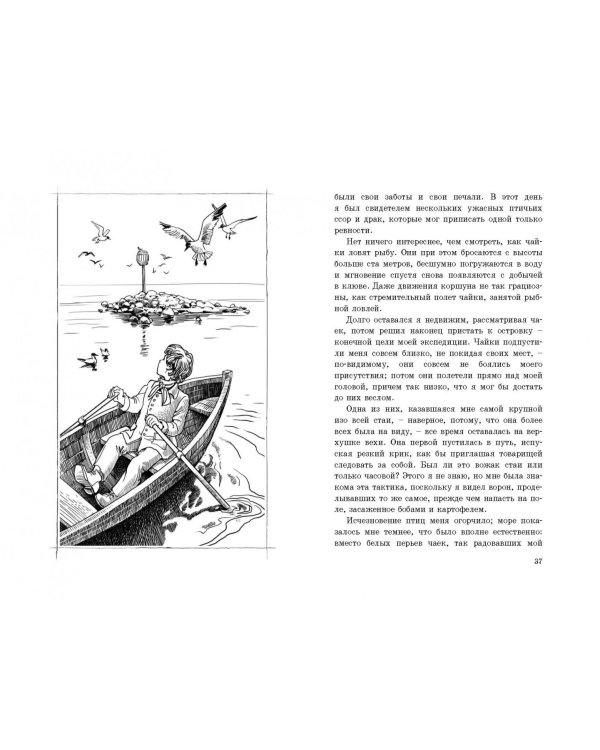 Морской волчонок