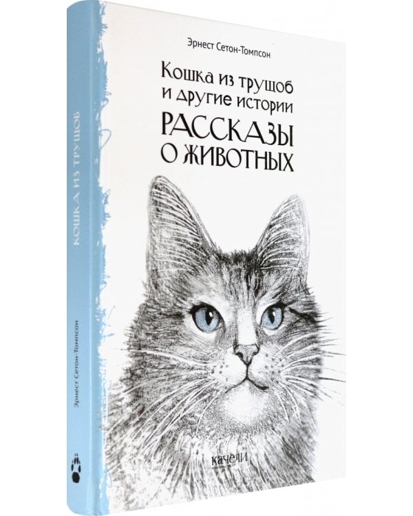 Кошка из трущоб и другие истории